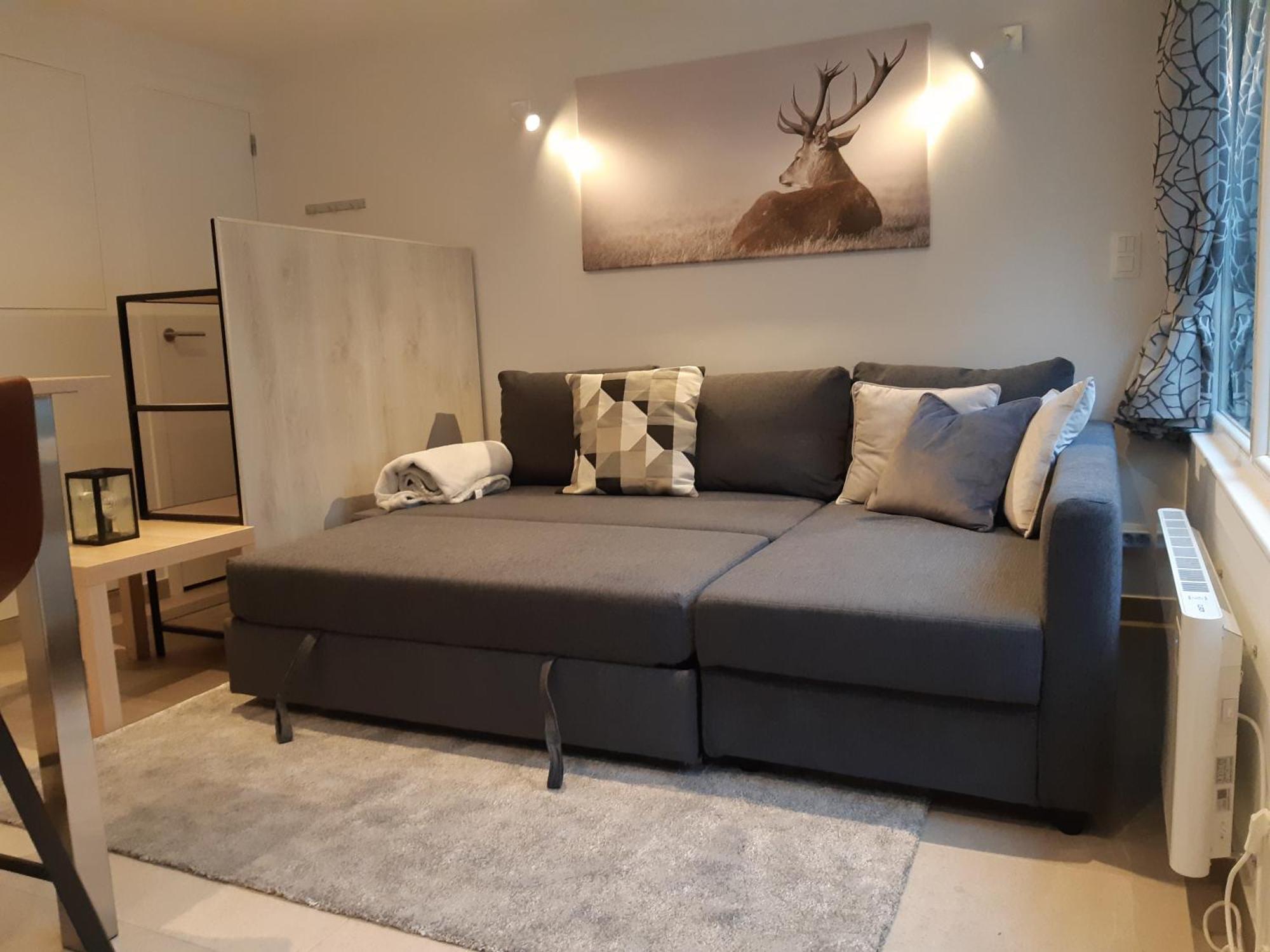 Terrasses De Malmedy F&L Triplex 214 Et Studio 320 Et 317 Et Studio Superieur 340 Pokój zdjęcie