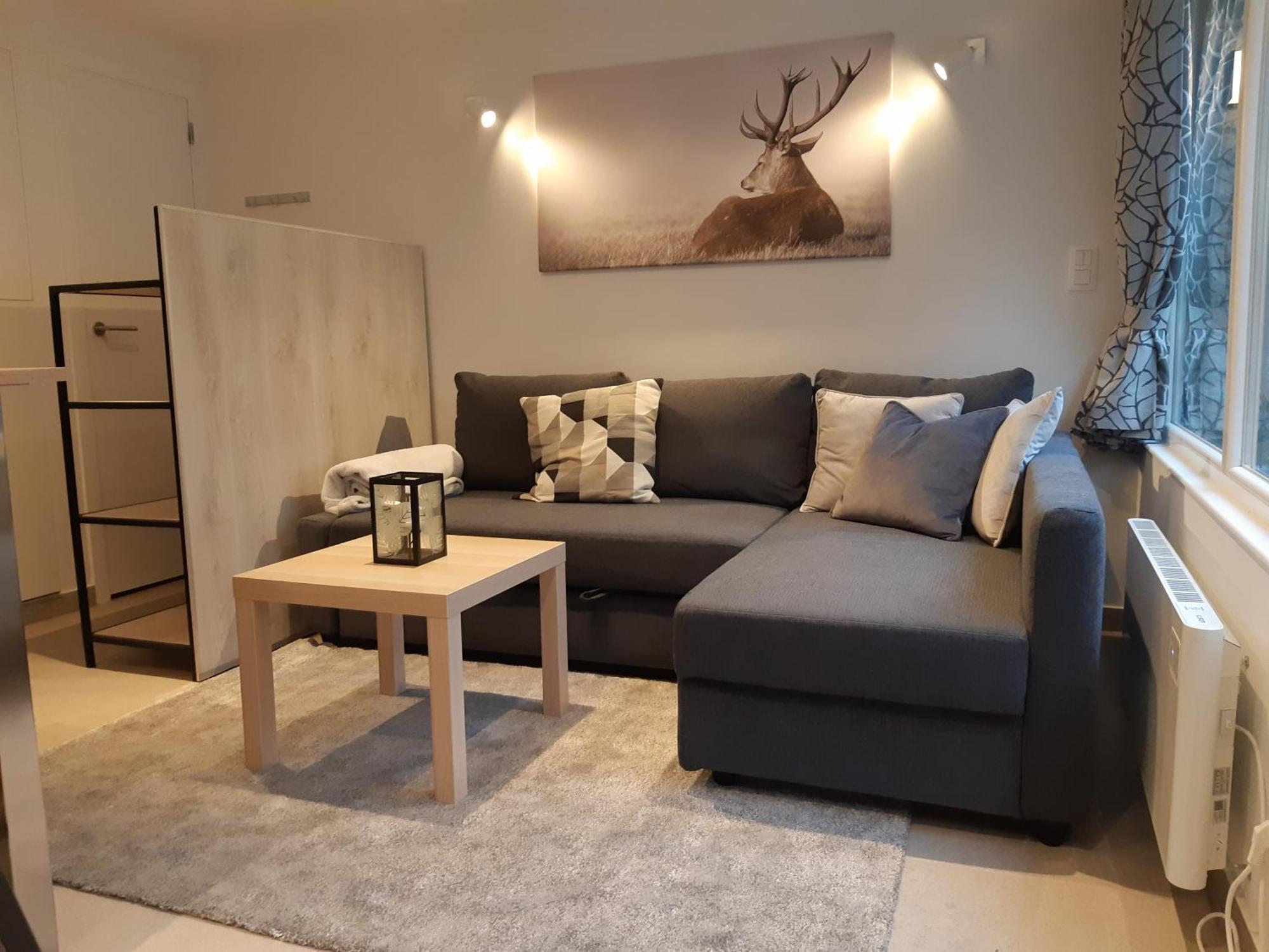 Terrasses De Malmedy F&L Triplex 214 Et Studio 320 Et 317 Et Studio Superieur 340 Pokój zdjęcie